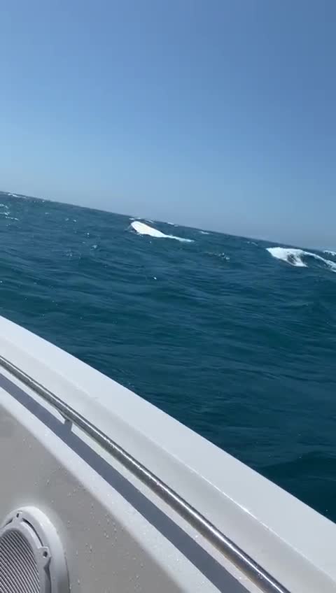 Accidente maritimo en lancha