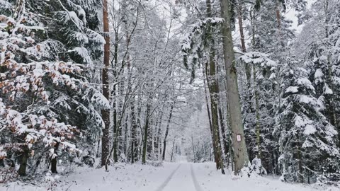 Disciplines for the Inner Life Week 8 (Silence) Monday