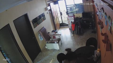 hallback midnight 20220428