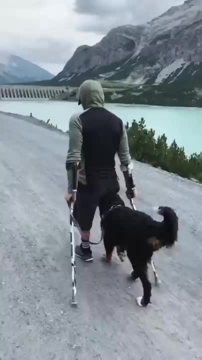 The Smartest Dog | Don't Worry, I Will Save You 😍 - Part 2