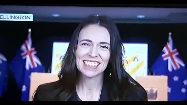 BEEHIVE Politics systems in place