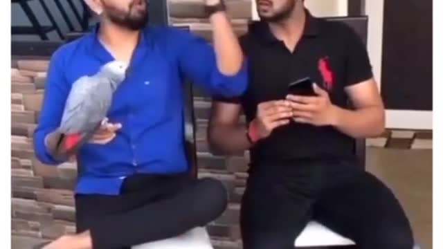 Funny short videos DOG