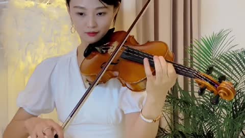 Violin classic