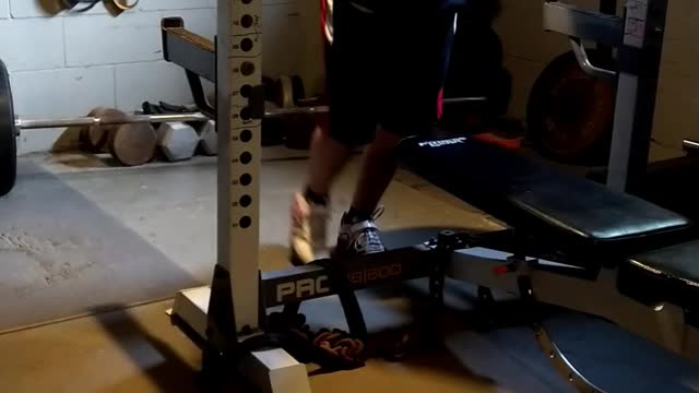 330 x 5 squat rpe 8