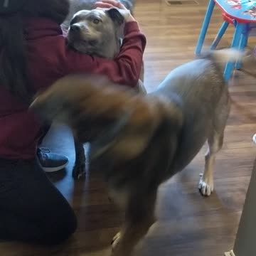 Army mom comes home from overseas