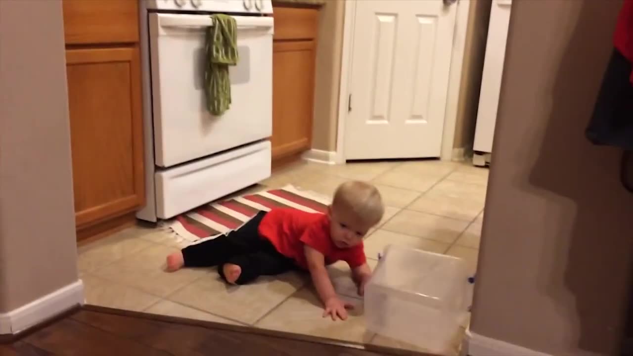 Baby's First Comedy Show: Giggles, Goofs, and Cuteness Overload!