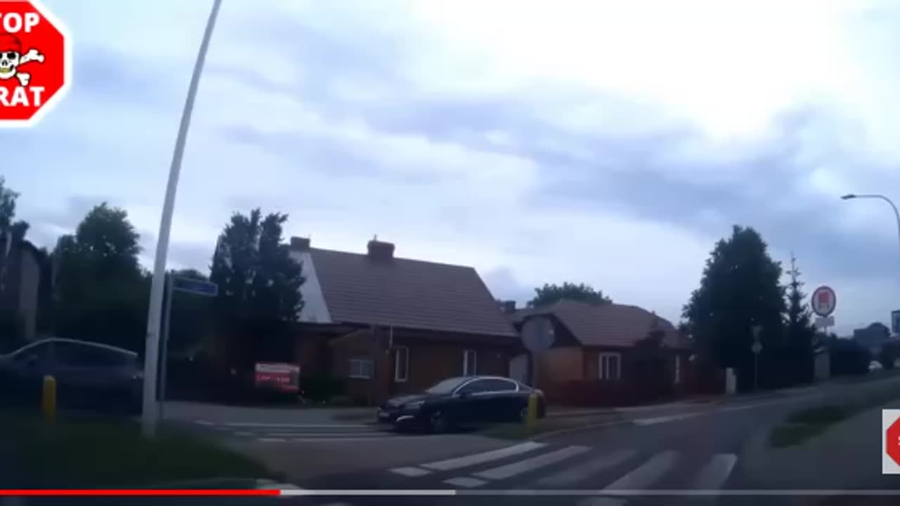 Owieczki drogowe i ich urojenia - kompilacja