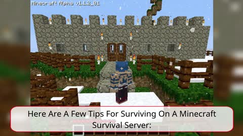 Minecraft Survival