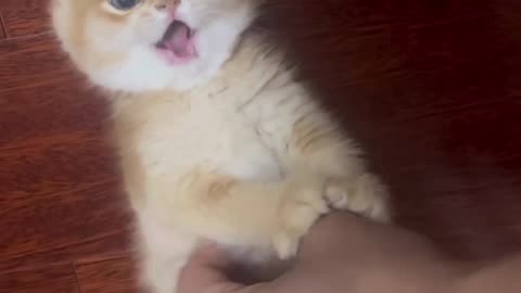 Love your laughter 😃