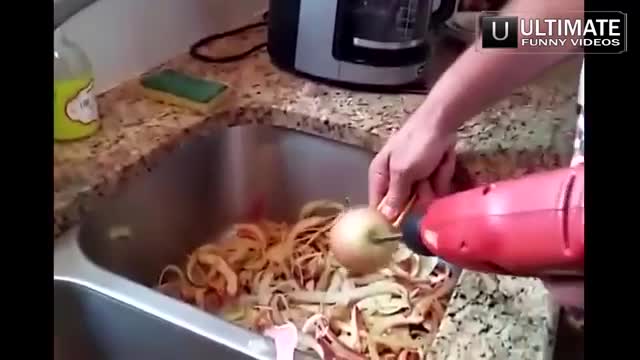 the funniest jokes with animals and people 1