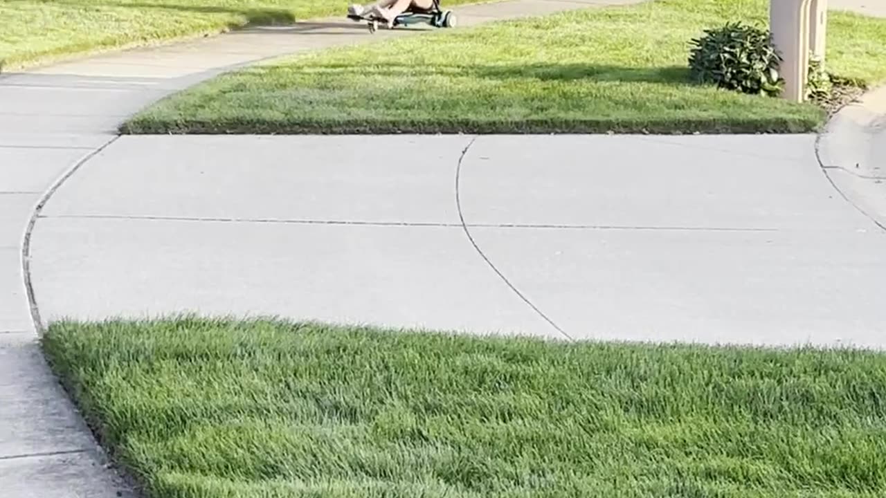 Dog Goes For a Ride Around the Neighborhood