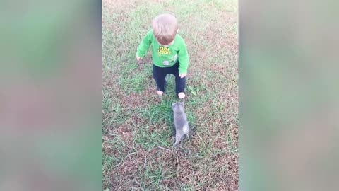 cute baby playing with Funniest Dogs and cats