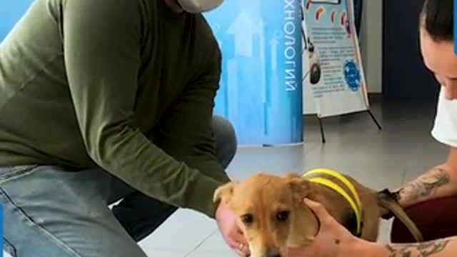 3D PROSTHETIC FOR DISABLED DOG