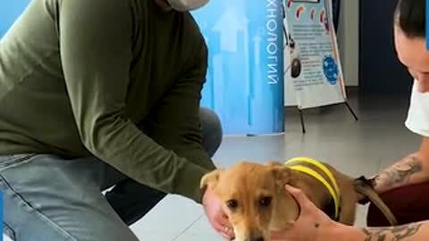 3D PROSTHETIC FOR DISABLED DOG