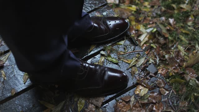 Autumn rain falling on autumn leaves falling on the ground