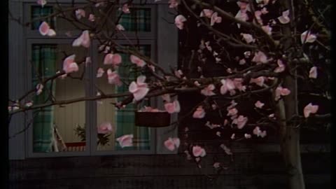 Teskedsgumman dvd1 ep2 1973
