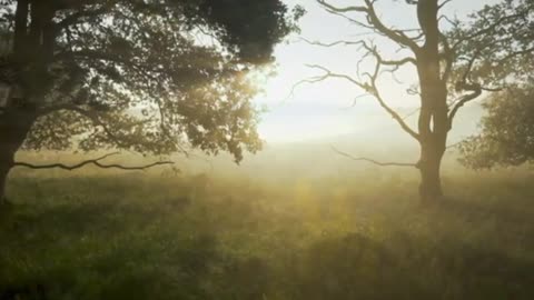 Refreshing Nature Video Music for Study. Relaxing Short Nature Video. Stress relief.
