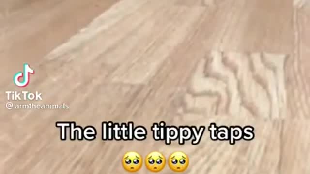 The little tippY tope