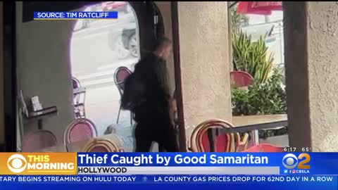 Caught on video: Robbery suspect tackled by Hollywood business owner