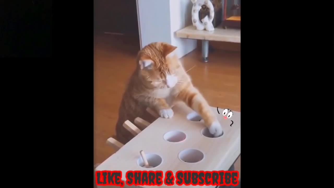 Cute and Funny Pets | Try Not To Laugh To This Pets Compilation