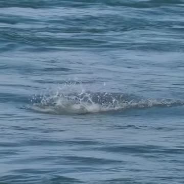 Một cú đáp thiện xạ và cú cất cánh ngoạn mục