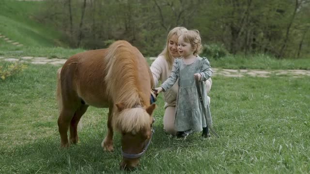 Hi cute little horse and cute baby