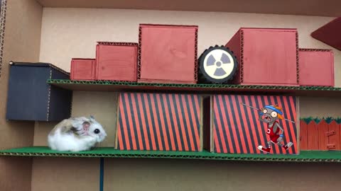 🐹Hamster vs Zombies Hamster Escape from obstacle course maze - 720p