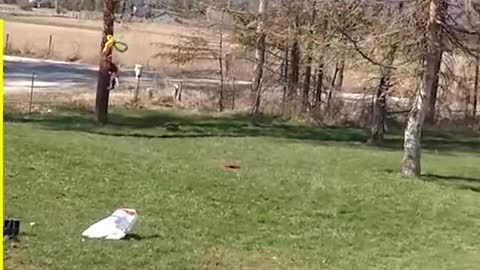 Funniest Kids Fails 😂