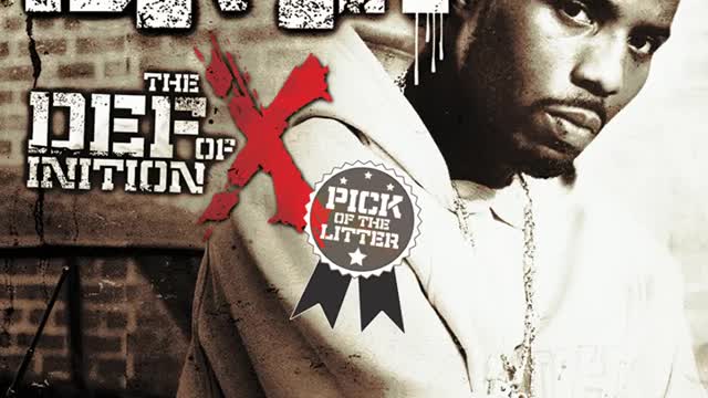 DMX - Slippin' Definition X: Litter selection Album