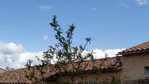 Live Chemtrails du 22.04.2022 - Disparition de la couverture chimique dans le 04