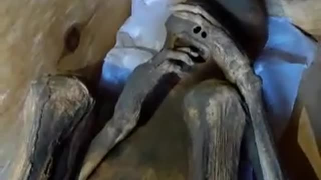 Timbak Mummy