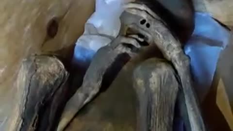 Timbak Mummy