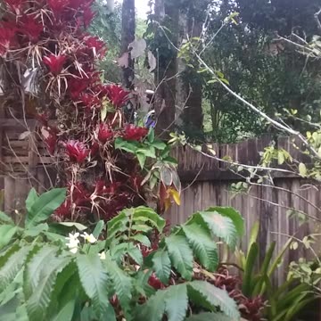 2.12.2023 Party in the Park,