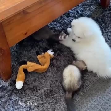 Just stays still Bentley