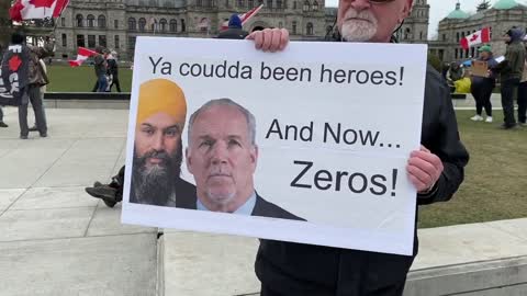 🇨🇦Strength In Numbers! Freedom Protest CANADA 🇨🇦