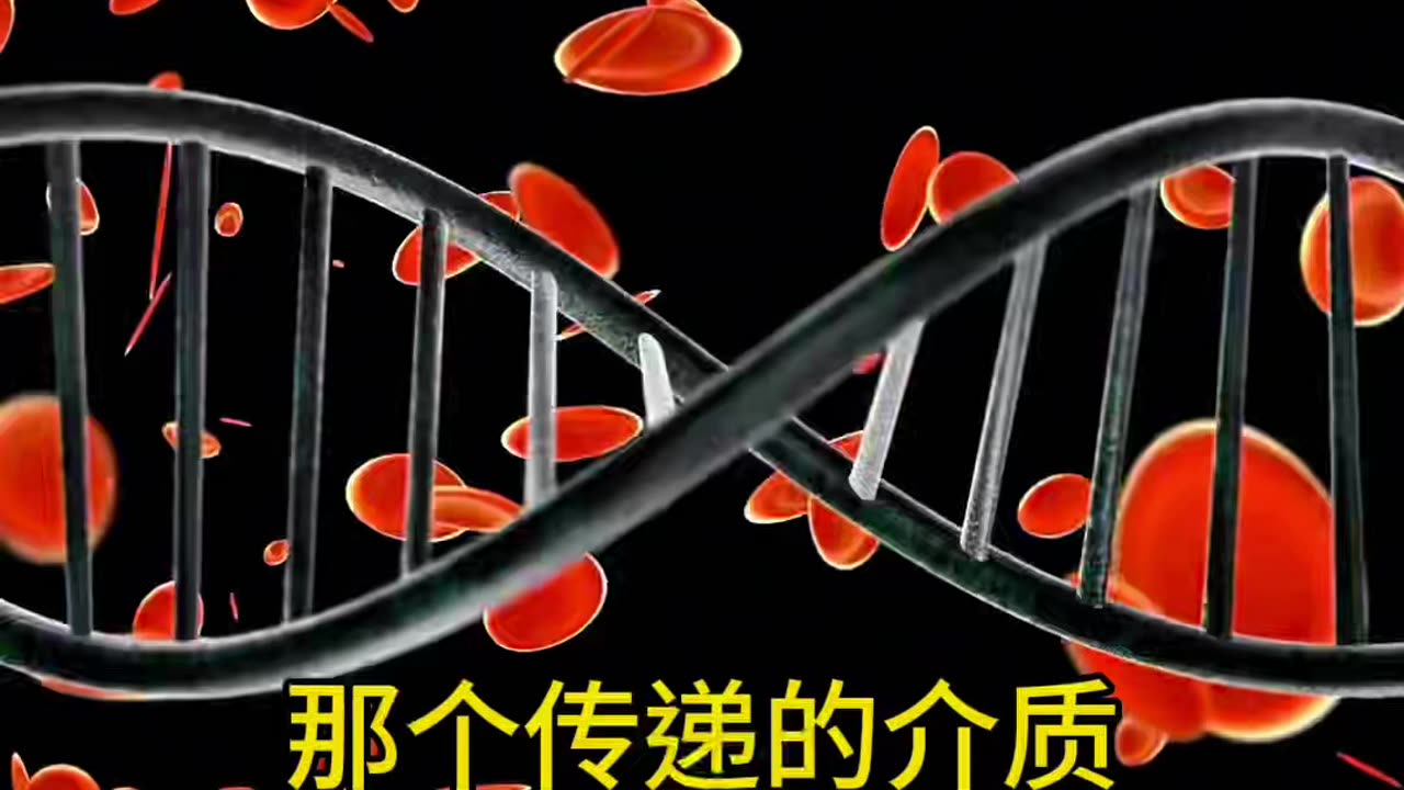 026.細胞和細胞之間是如何傳遞能量和訊息的?