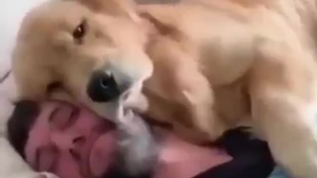 Funny and cute dog sleeping with dad 2022