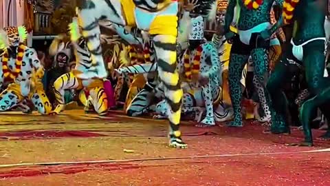 TIGER DANCE EXCLUSIVE