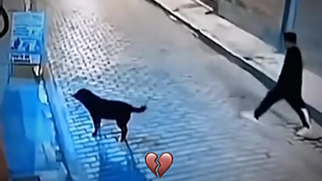 Funny clip