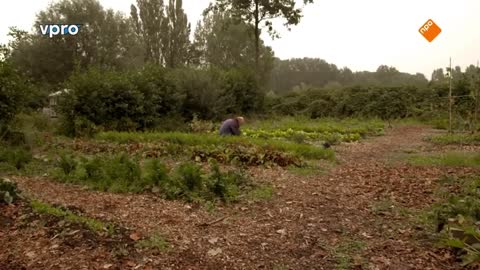 Maartens Moestuin deel 1/10. Rode kool en appel