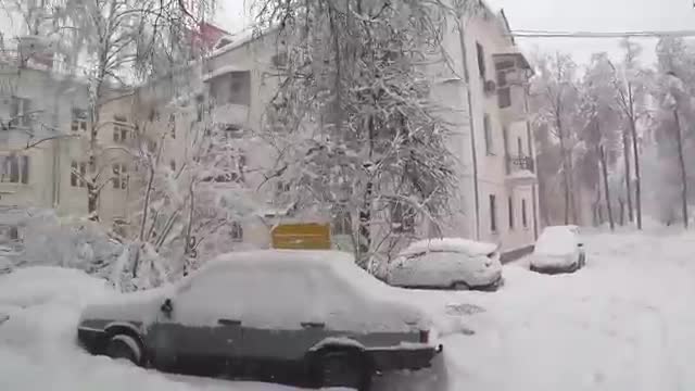 Rumble/ Natural Phenomena - These people were a little too close to avalanche that t