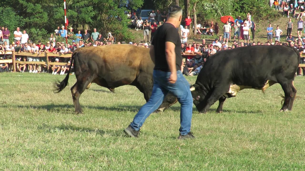 Mališa od Patkovića vs Medonja od Hajdarevića Kruščica 2024