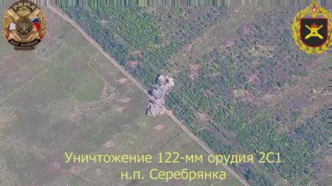 🇷🇺🇺🇦 Destruction of an enemy 122-mm self-propelled gun 2S1 "Gvozdika