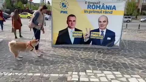 Cam asta e adevarul