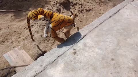 Fake Tiger Prank Dog Run So Very Funny Action 2021