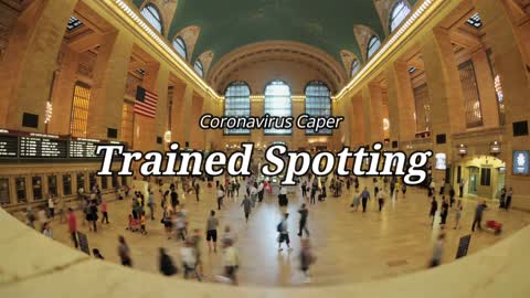 Coronavirus Caper: Trained Spotting