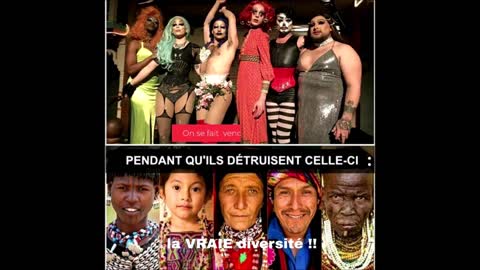 L.G.B.T.Q. #humour #interdit