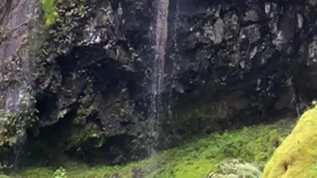 Panther creek falls Gifford Pinchot forest Washington