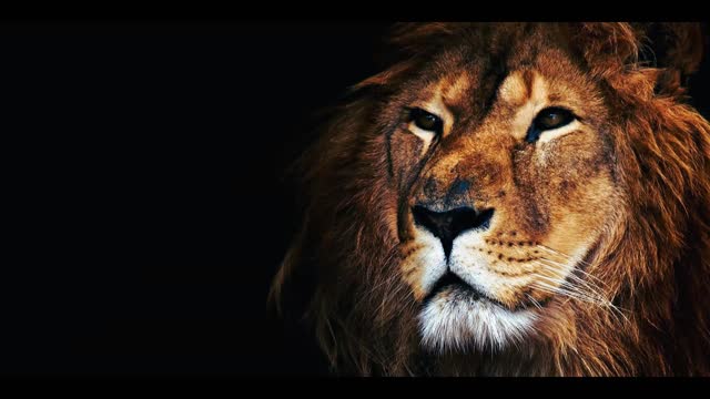 WARNING: Sifting Of Faith In Jesus Increases: Empowers The Satanic NWO As People Fall