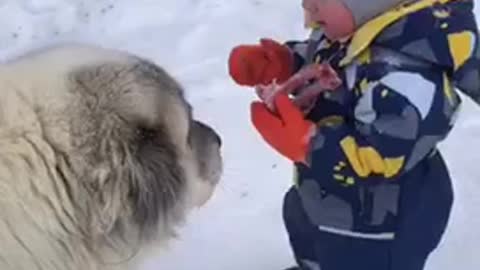 An unreal moment. The son feeds his favorite dog .